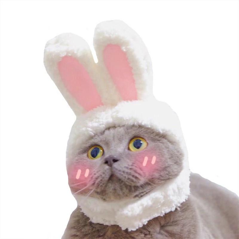 RabbitHat™ - Accessoire de déguisement pour chat