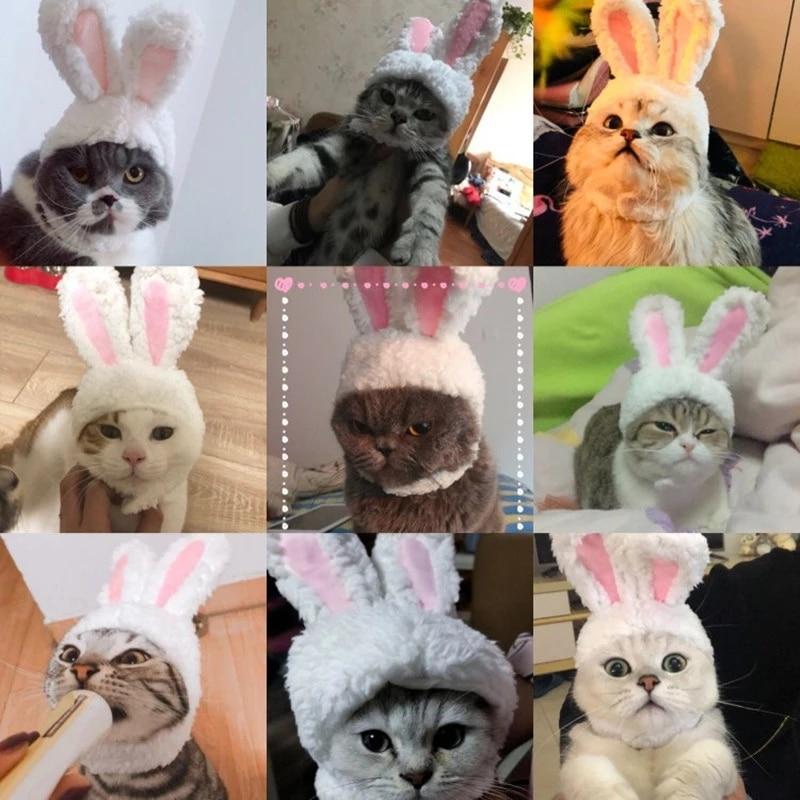 RabbitHat™ - Accessoire de déguisement pour chat