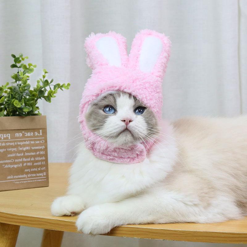 RabbitHat™ - Accessoire de déguisement pour chat