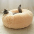 TopConfort™ - Lit Apaisant Chat lecoledeschats