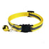 CatBell™ - Collier morderne pour chat lecoledeschats
