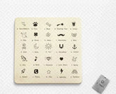 NeckCat™ - Collier personnalisé pour chat lecoledeschats