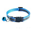 CatBell™ - Collier morderne pour chat lecoledeschats