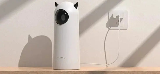 JouetInteractifLaserLEDPourChat™ lecoledeschats