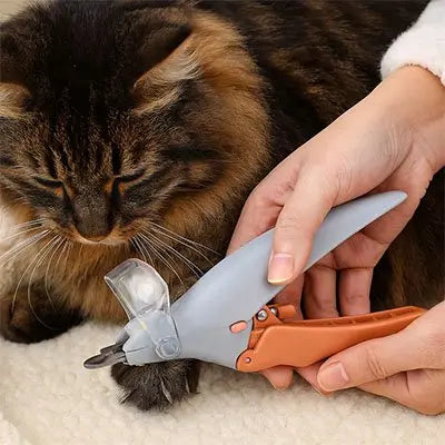 Coupe griffe Chat | PrecisionPro Universdesfelins.com