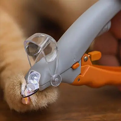 Coupe griffe Chat | PrecisionPro Universdesfelins.com