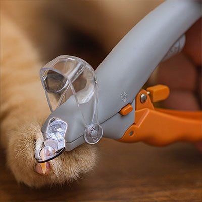 Coupe griffe Chat | PrecisionPro